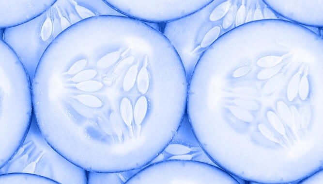 grocery-window-2-667×379